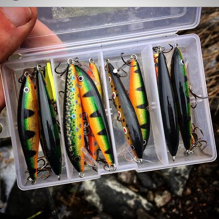 ラパラのおすすめ商品17選！世界基準のルアーで釣り！ – Fish Paradise