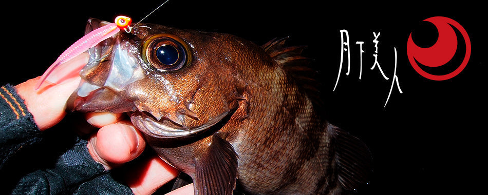 最新版】月下美人MXのリール・ロッドを完全網羅！アジングに繰り出せ