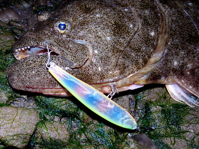 ヒラメ釣りのタックルや餌!サーフ・船からの釣り方を徹底解説!