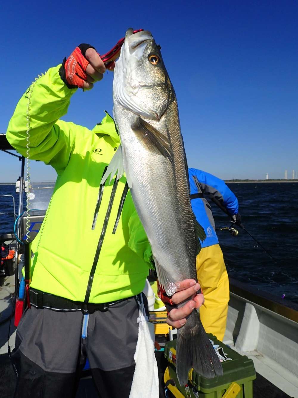 ボートシーバスロッドのおすすめ17選！入門機から話題のビッグベイト