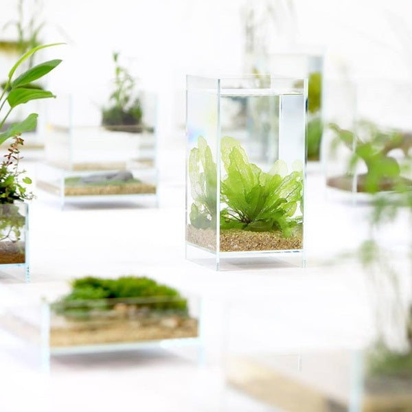 ADA（アクアデザインアマノ）のおしゃれで高機能な商品16選！ – Fish