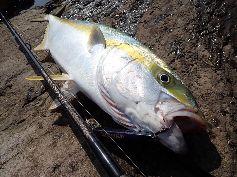 ジャンプライズ製品で磯ヒラ・青物を攻略！大物狙いのルアーマン必見