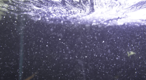 水槽の泡を消す方法は