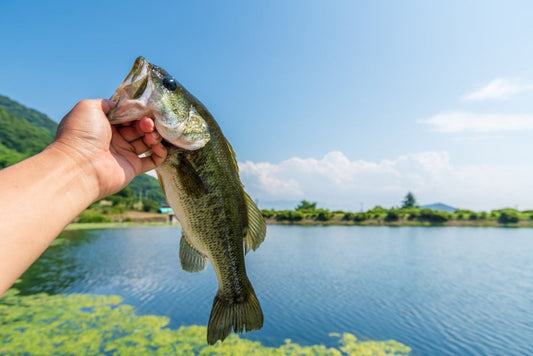 ヘビキャロの仕組みや釣り方!どんなタックルが適している?