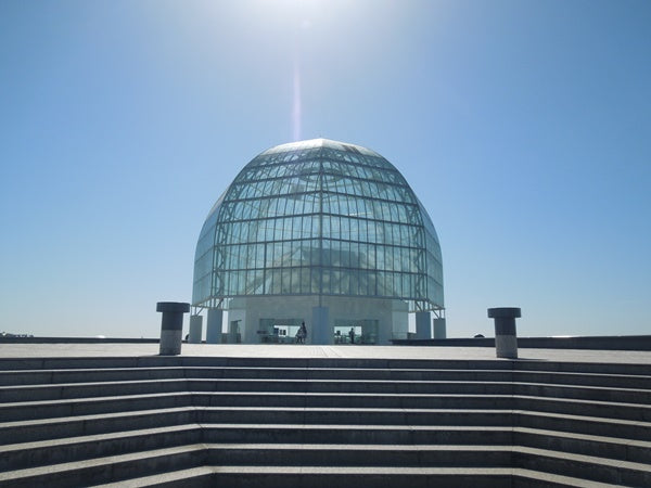 東京にある水族館10選!都心の真ん中で魚たちに癒されよう!