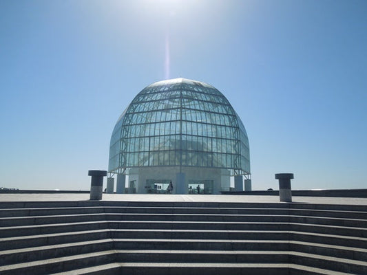 東京にある水族館10選!都心の真ん中で魚たちに癒されよう!
