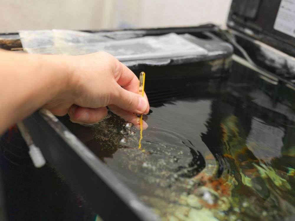 夏場の水槽の高水温対策を現役アクアショップ店長が伝授!今年の猛暑もこれでバッチリ!