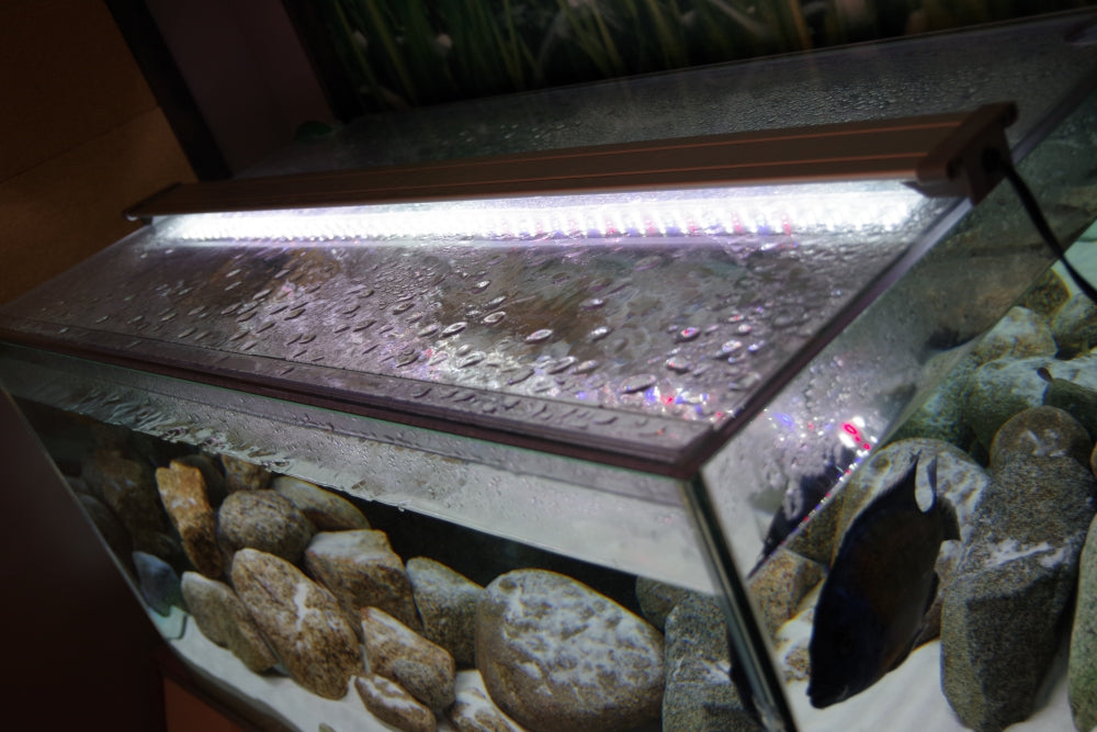 60センチ水槽セット コトブキ工芸 コトブキ工芸 水槽セット アクアリスト600S 観賞魚