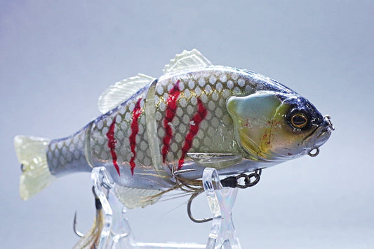 チビタレルは本物のギルそっくり!基本の使い方やチューニング法は?