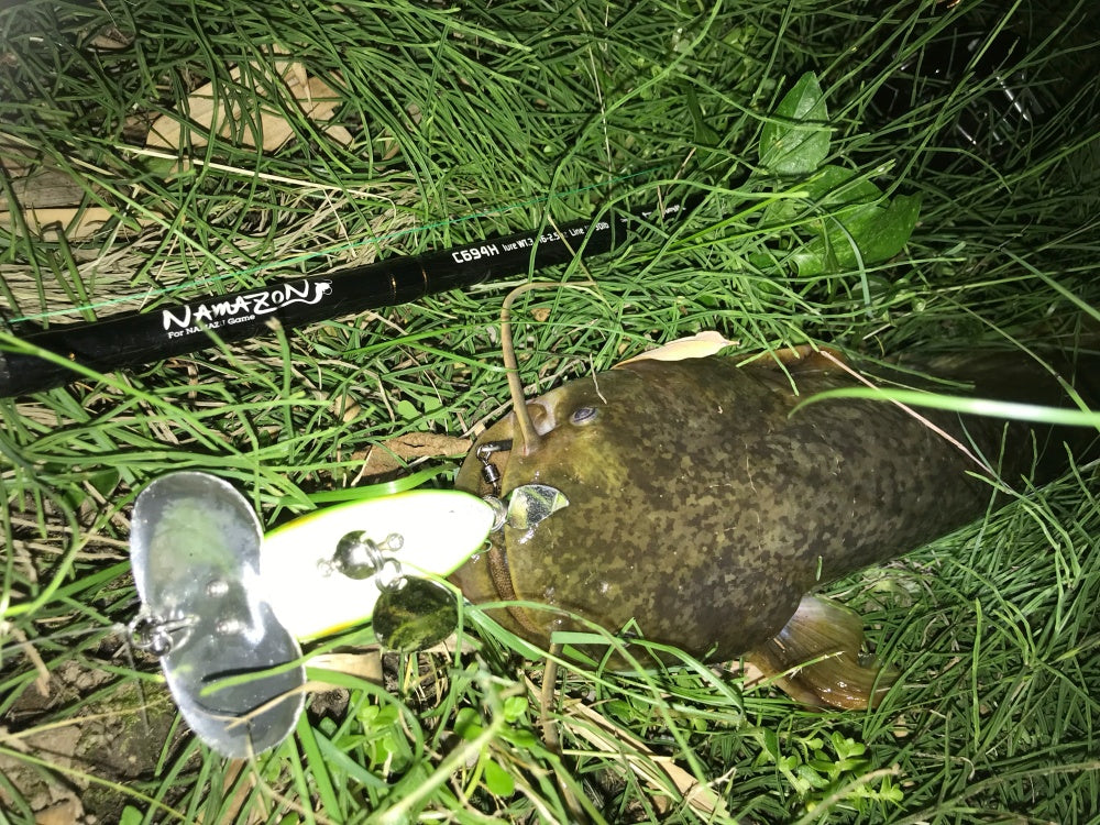 ナマズ釣りの基本知識とおすすめルアー5選!昼でも釣れるの?