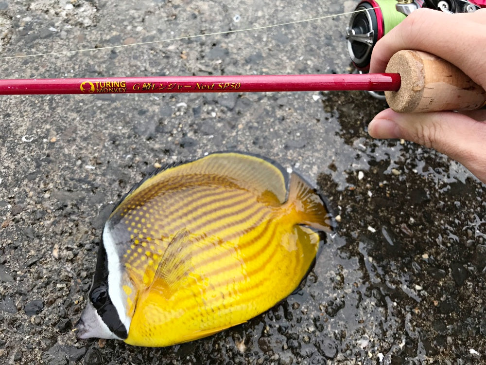 鱒レンジャーはなぜ人気？青物まで狙える種類豊富な面白ロッド！ – Fish Paradise