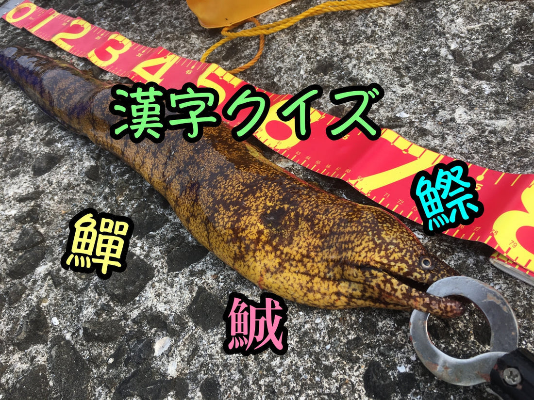 さかなへんの漢字クイズ〜上級編その①!〜これが読めればあなたは凄い!