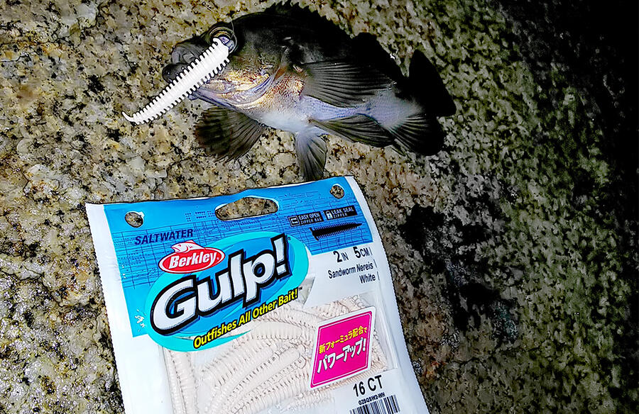 ガルプはエサ並みに釣れる万能ワーム!液漏れ対策はどうする?