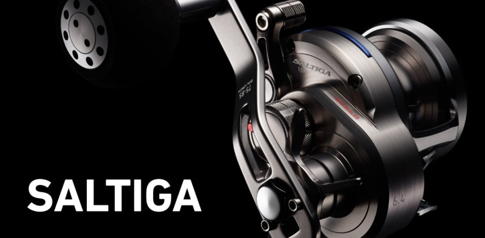DAIWA 17ソルティガ BJ 200SHの最安値・インプレ・釣果 | 本音の