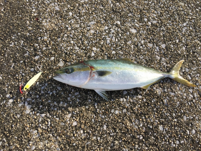 ジグキャスター徹底比較！96M・97MH・106Hなど全6機種 – Fish