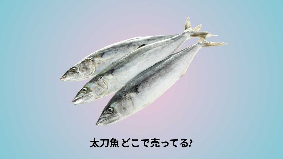 太刀魚 どこで売ってる|購入できる店舗とおすすめ市場ガイド