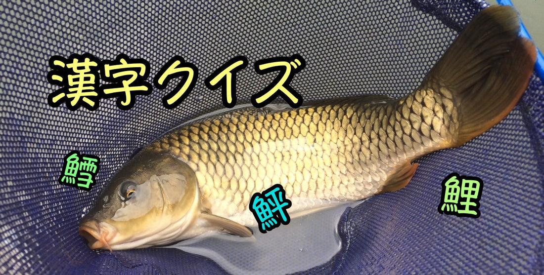 さかなへんの漢字クイズ〜初級編その②〜あなたは難問正解できる?