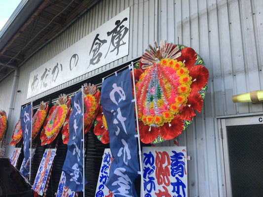和歌山にめだか専門店「めだかの倉庫」がオープン!実際に行ってみた!