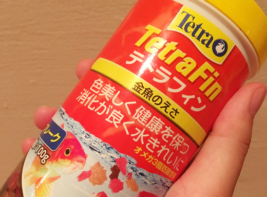 金魚餌の選び方とおすすめTOP10!与える頻度や適正量は?