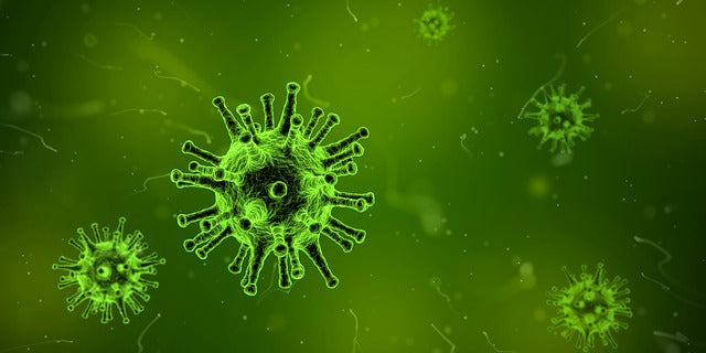 殺菌灯の効果とは?水槽に設置する際の注意点もチェック!