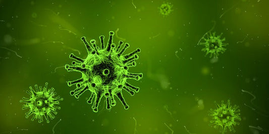 殺菌灯の効果とは?水槽に設置する際の注意点もチェック!