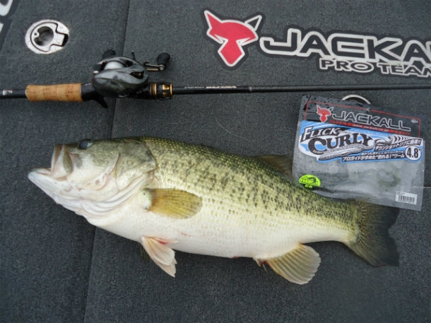 ポイズングロリアスのおすすめ機種12選！アドレナ・アルティマと