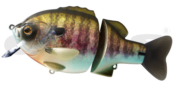 ビッグベイト21選！どんなタックルなら上手に扱える？ – Fish Paradise