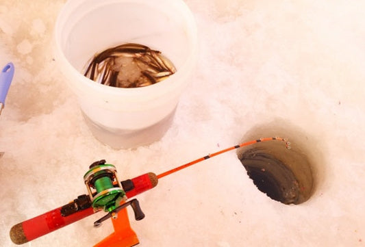 ワカサギ釣りの基本や釣果UPのコツ！沢山釣って美味しく食べよう！