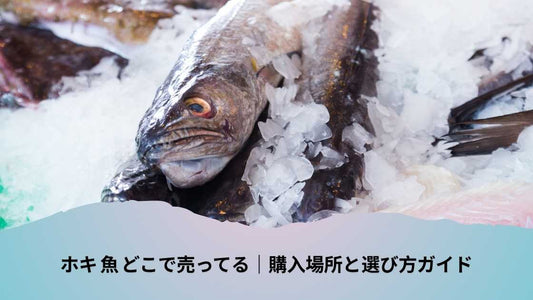 ホキ 魚 どこで売ってる