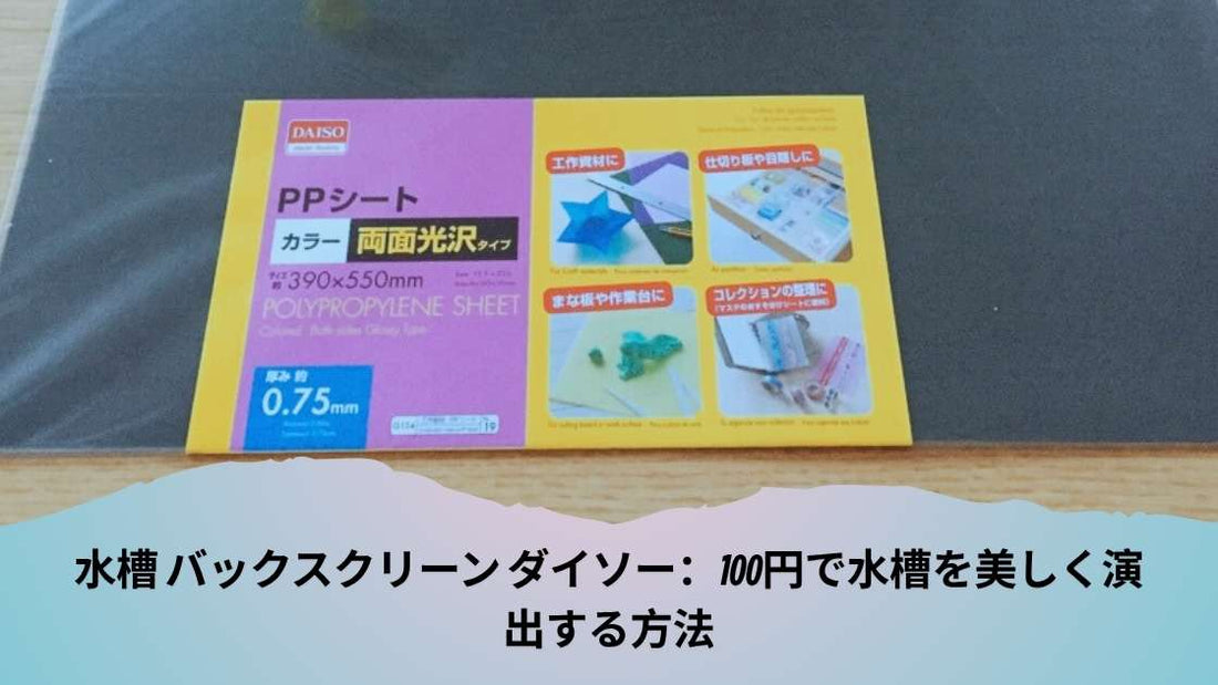 水槽 バックスクリーン ダイソー：100円で水槽を美しく演出する方法