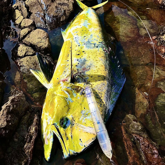 ダイビングペンシルでオフショアゲームを満喫！選び方や使い方は？