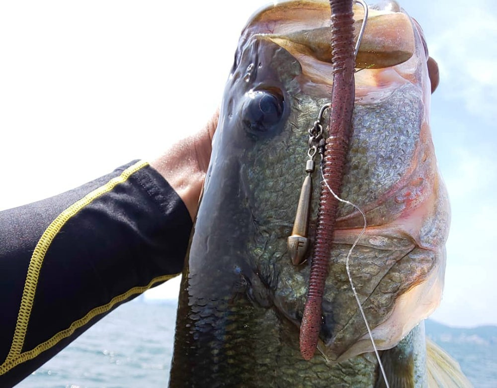 ドライブクローラーの人気カラーや使い方は？ネコリグ必携の定番ワーム！