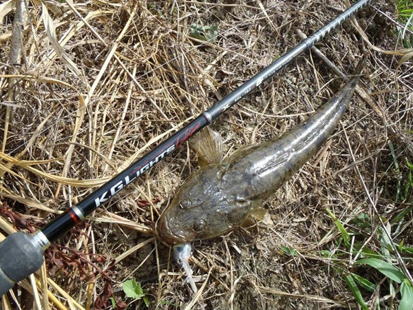 マゴチ釣りにおける2つの釣法！タックルや仕掛けの選び方は？
