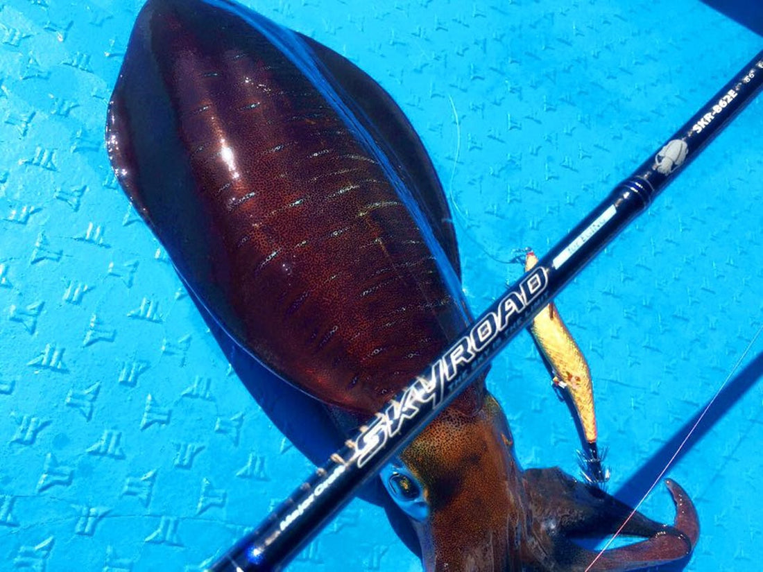 メジャークラフト製品おすすめ29選！高コスパで入門にもGOOD！