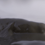 ワラスボは有明海に潜むエイリアン！？