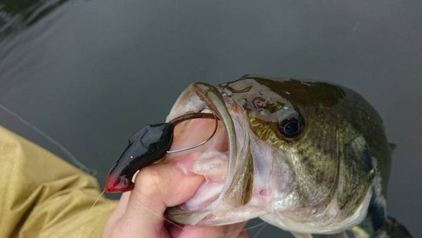 野良ネズミは品切れ続出の人気商品！推奨タックルやフックサイズは？