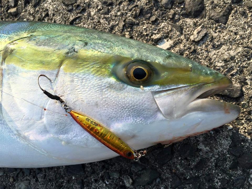 ショアスローのやり方やコツとは？低活性の魚を攻略！