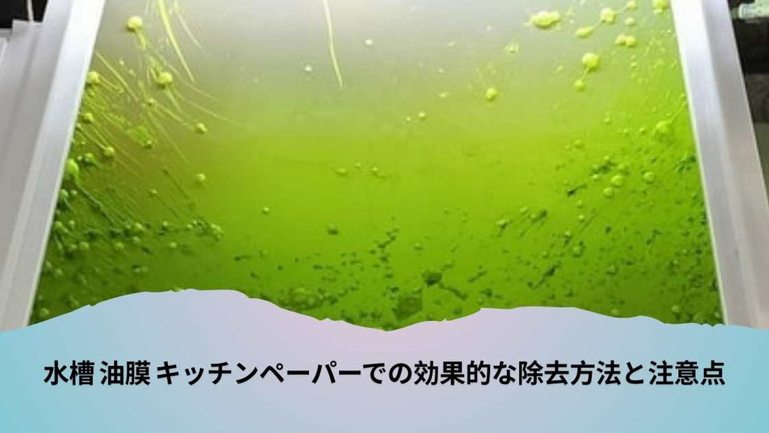 水槽 油膜 キッチンペーパーでの効果的な除去方法と注意点