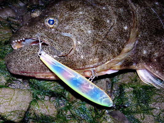 ヒラメ釣りのタックルや餌！サーフ・船からの釣り方を徹底解説！