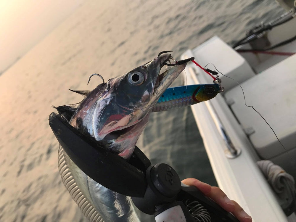 サムライジグの対象魚や使い方！ショア・オフショア問わず使える万能ジグ！