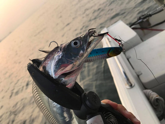 サムライジグの対象魚や使い方！ショア・オフショア問わず使える万能ジグ！