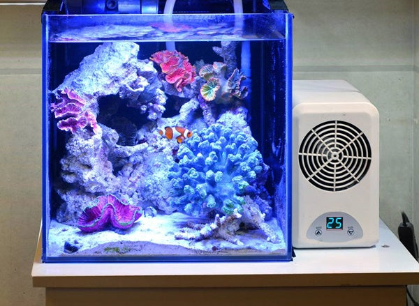 ゼンスイのアクアグッズ15選！注目商品はクーラーだけじゃない！