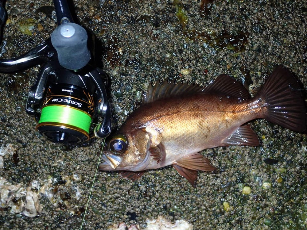 ソアレシリーズの製品を徹底網羅！ライトゲームを楽しむ充実のラインナップ！