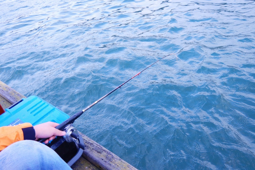 筏釣りのやり方や必要な道具とは？繊細なタックルと仕掛けで大物チヌを攻略！