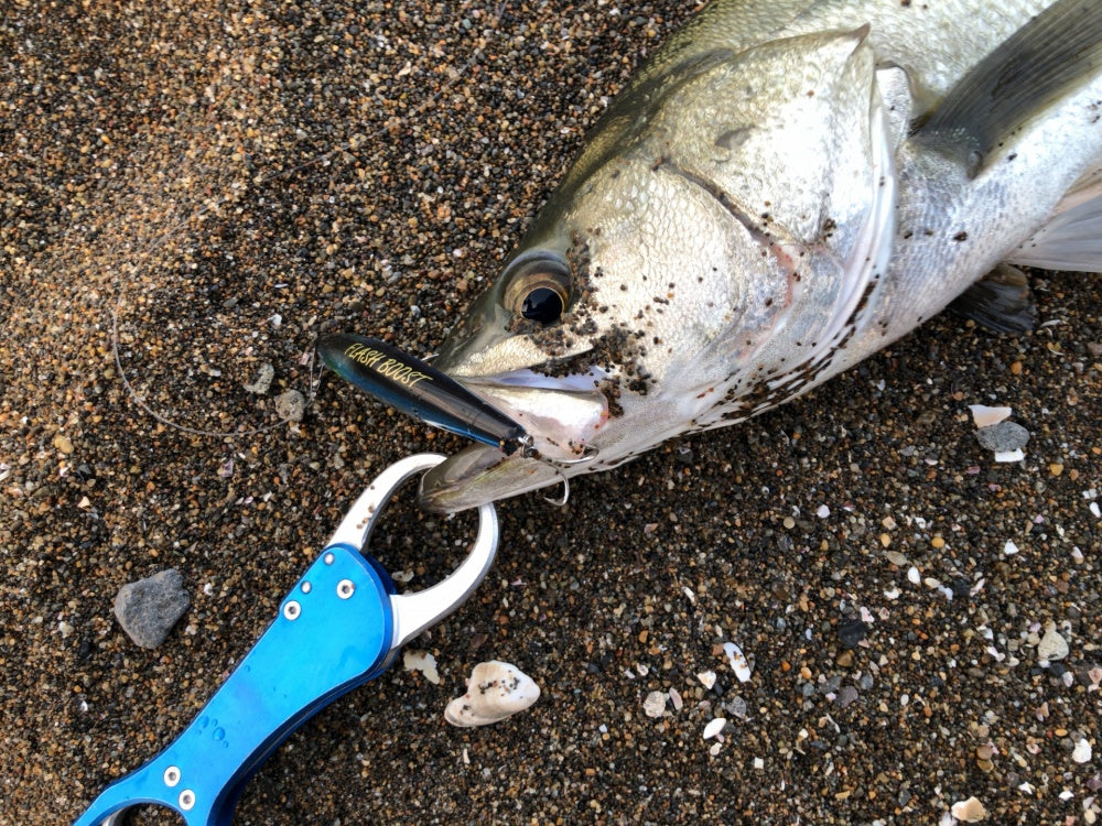 フィッシュグリップおすすめ最強14選！意外と知らない正しい使い方も紹介