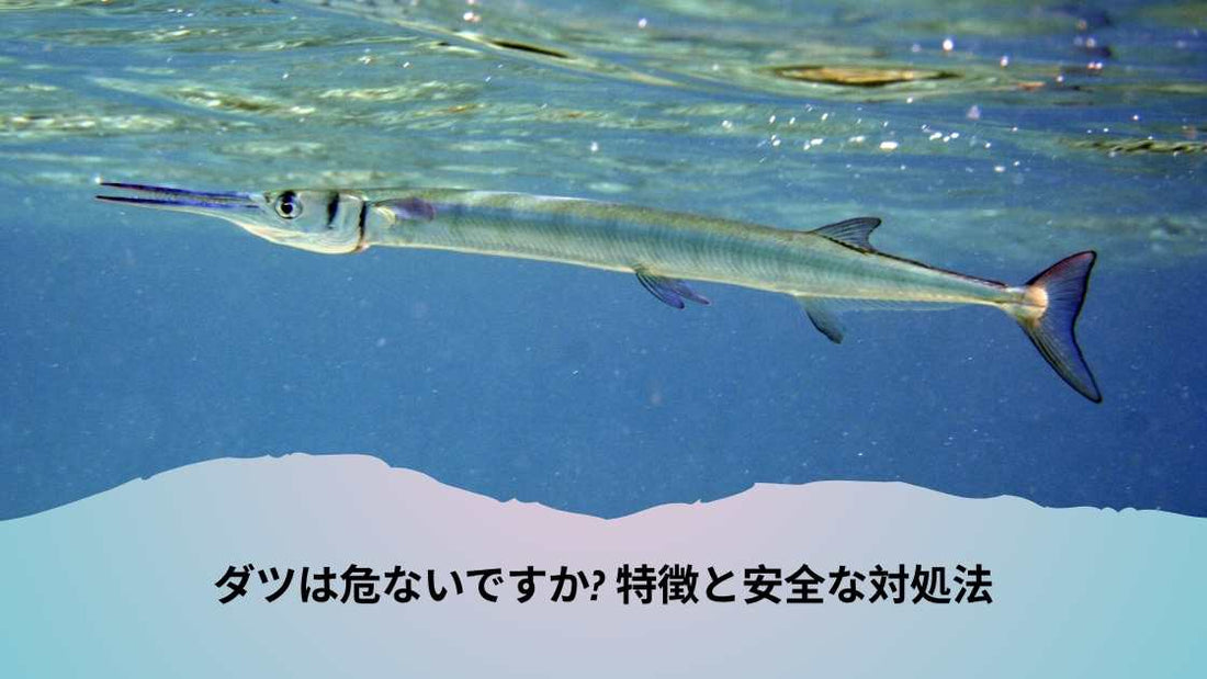 ダツは危ないですか