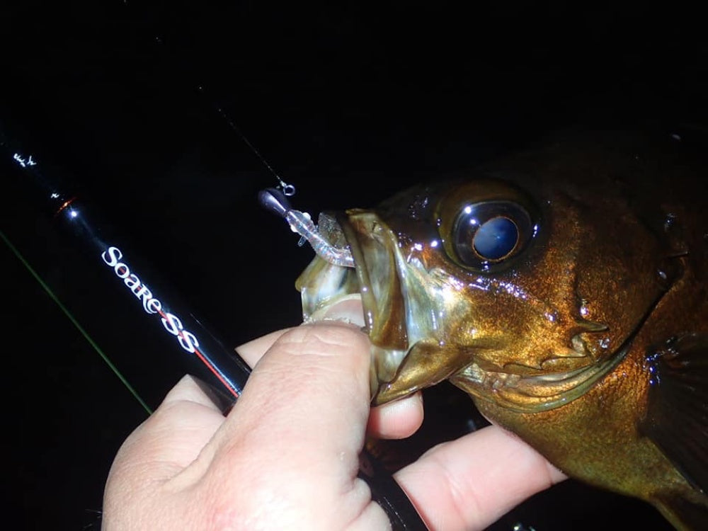 ソアレ SSはワンランク上の感度と操作性！アジングロッドはこれで決まり！