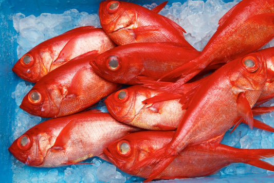 キンメダイは海の赤い宝石！ブランド化もされてる高級魚！