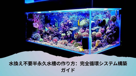 水換え不要半永久水槽の作り方：完全循環システム構築ガイド
