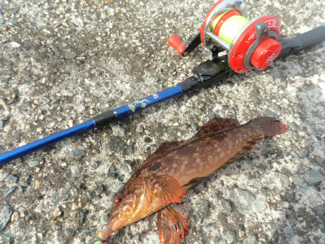 穴釣りロッドおすすめ10選！【2023年最新版】テトラに潜む大物を釣りあげろ！